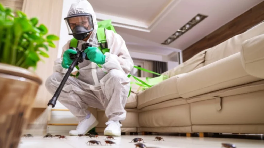 Técnico con traje y mascarilla fumigando cucarachas en maceta de sala